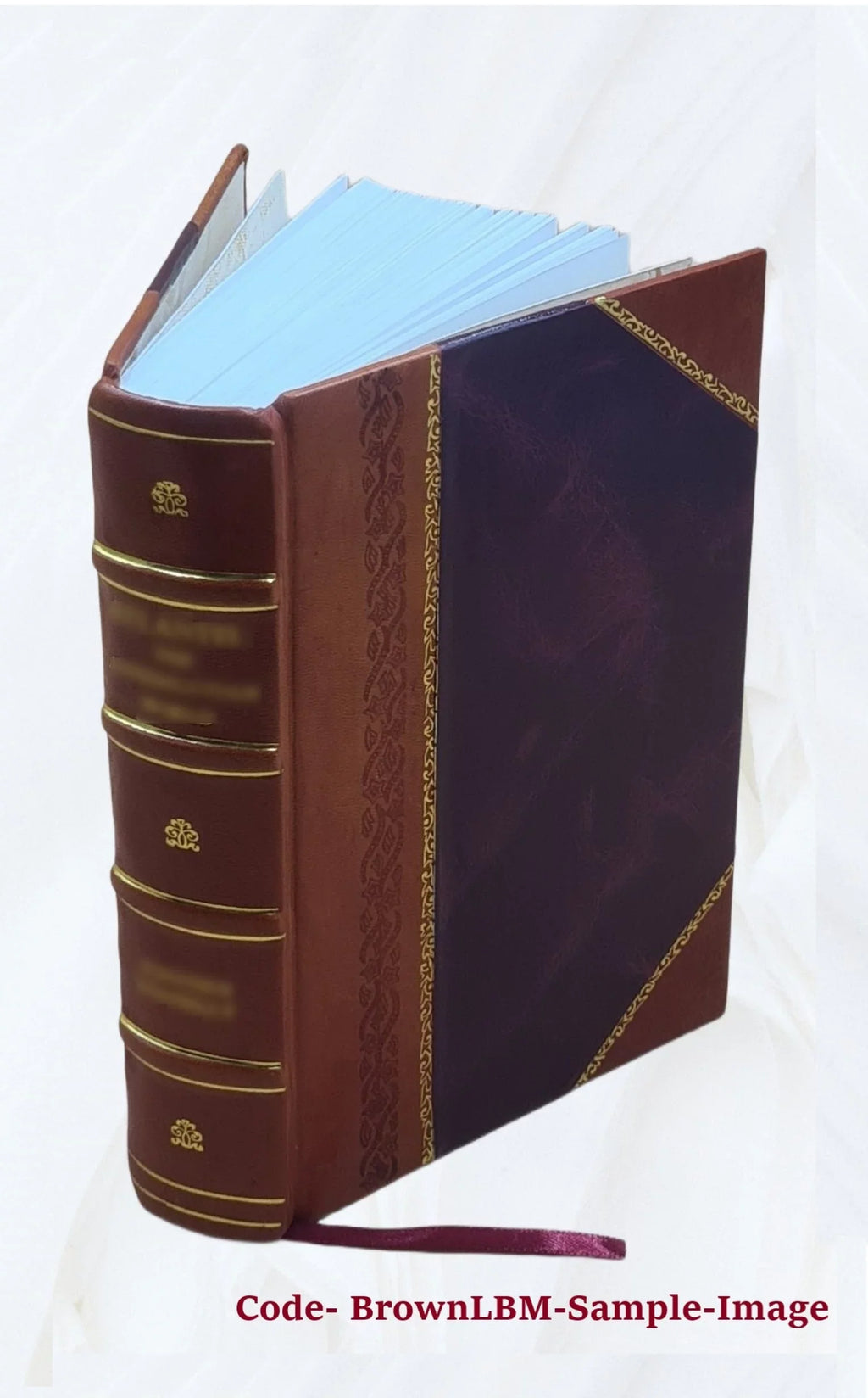 Light list. Vol. 3, Pacific coast and Pacific islands / Treasury Department, United Sizetates Coast Guard. Volume 1963-64 1964 [Leather Bound]