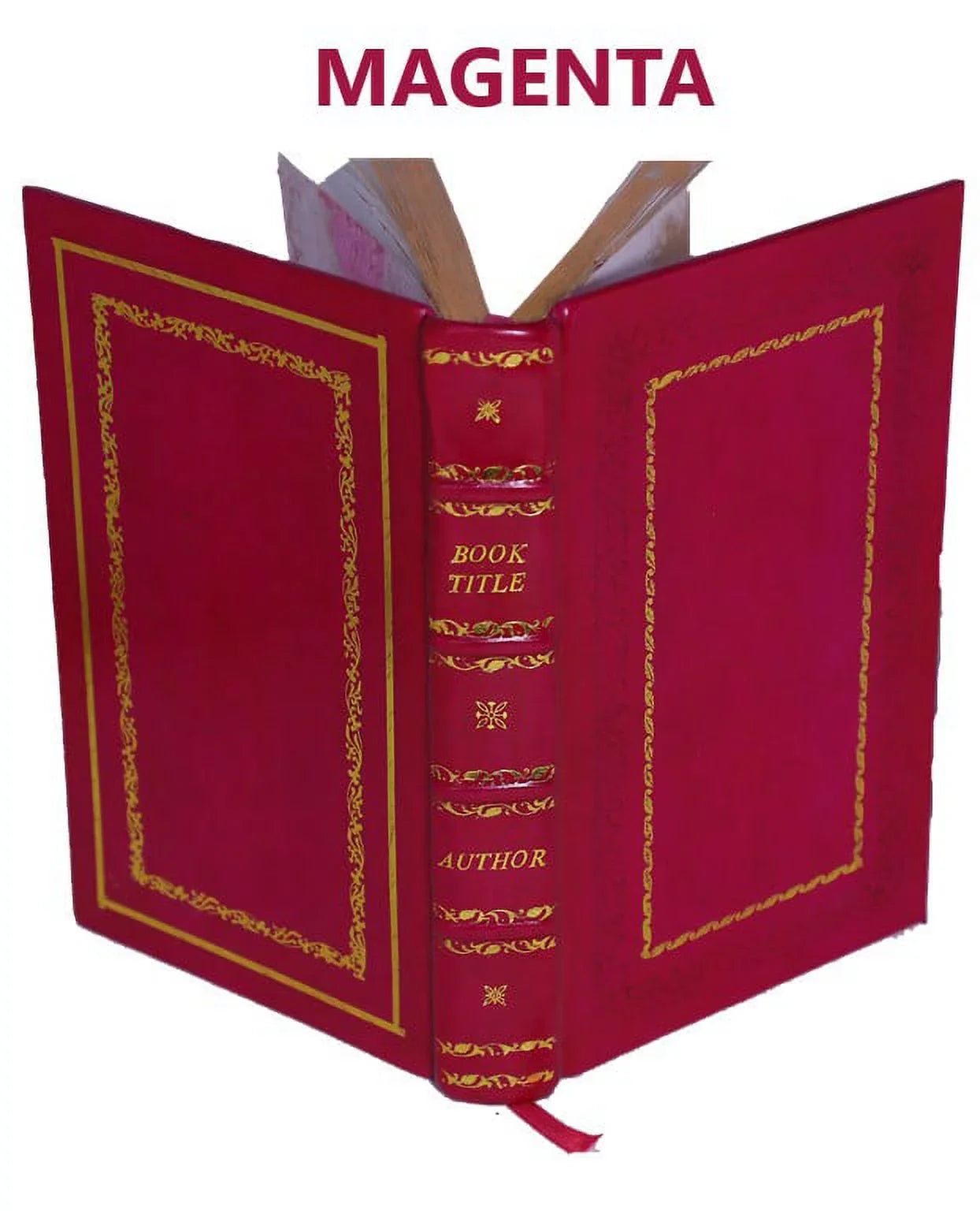 Museum Veronense : hoc est antiquarium inscriptionum atque anaglyphorum collectio cui Taurinensis adiungitur et Vindobonensis 1749 [Premium Leather Bound]