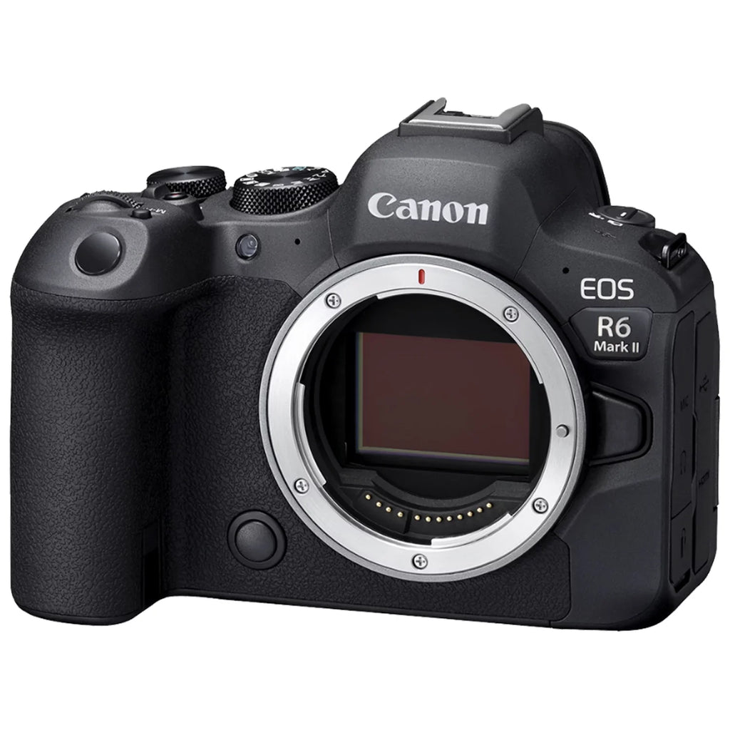 Canon EOSize R6 Mark II Mirrorless Camera with RF 24-105mm Lens + EF 75-300mm + Mount Adapter + SizeanDisk 32GB Memory Card + Case + LED Flash + ZeeTech Accessory Bundle