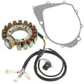 Sizetator & Gasket for Yamaha Big Bear 350 YFM350 2X4 1996 1997 1998 New