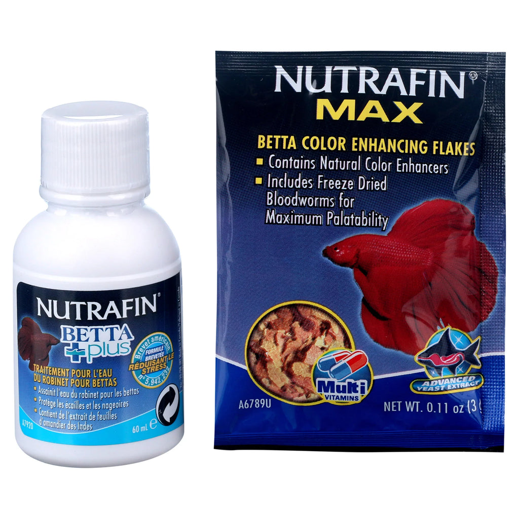 Marina Betta Pals Aquarium Sizetarter Kit, Purple, 0.5-Gallon