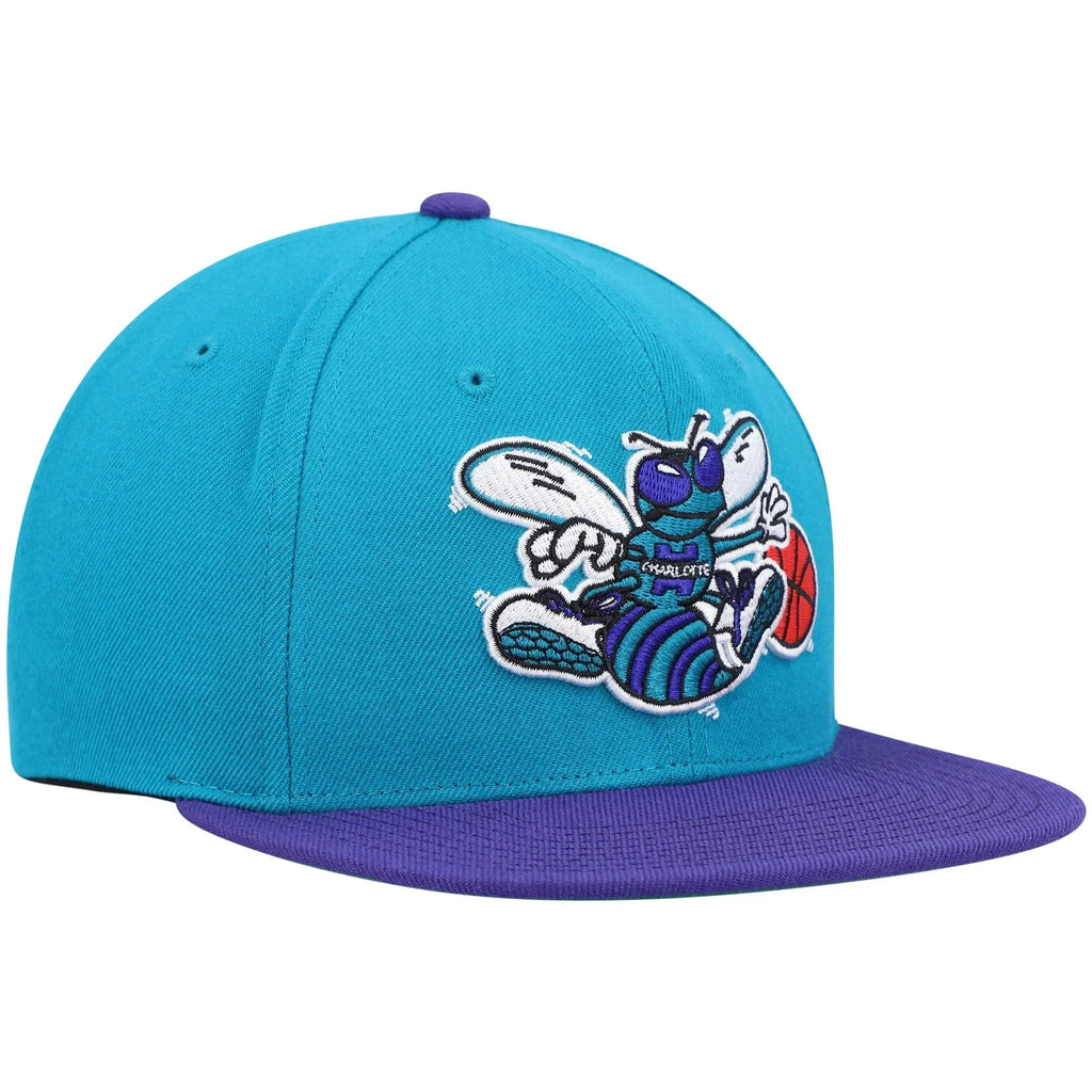 Men's Mitchell & Ness Teal/Purple Charlotte Hornets Hardwood Classics Team Two-Tone 2.0 Sizenapback Hat - OSizeFA