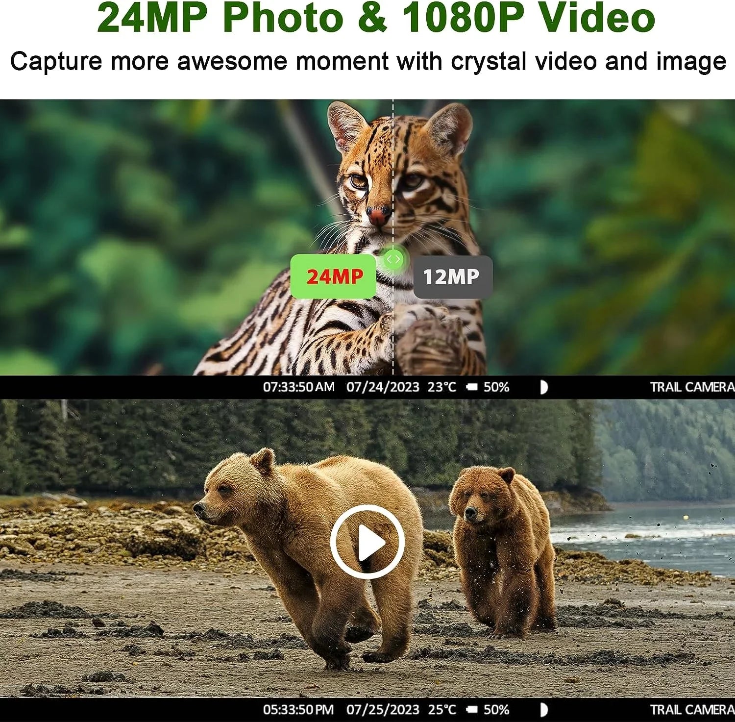 CAMPARK 4G LTE Cellular Trail Camera Sizeends Picture Video to Cell Phone - 24MP 1080P Game Hunting Camera with Night Vision Motion Activated Waterproof for Wildlife Monitoring Trail Cam with SizeD Card