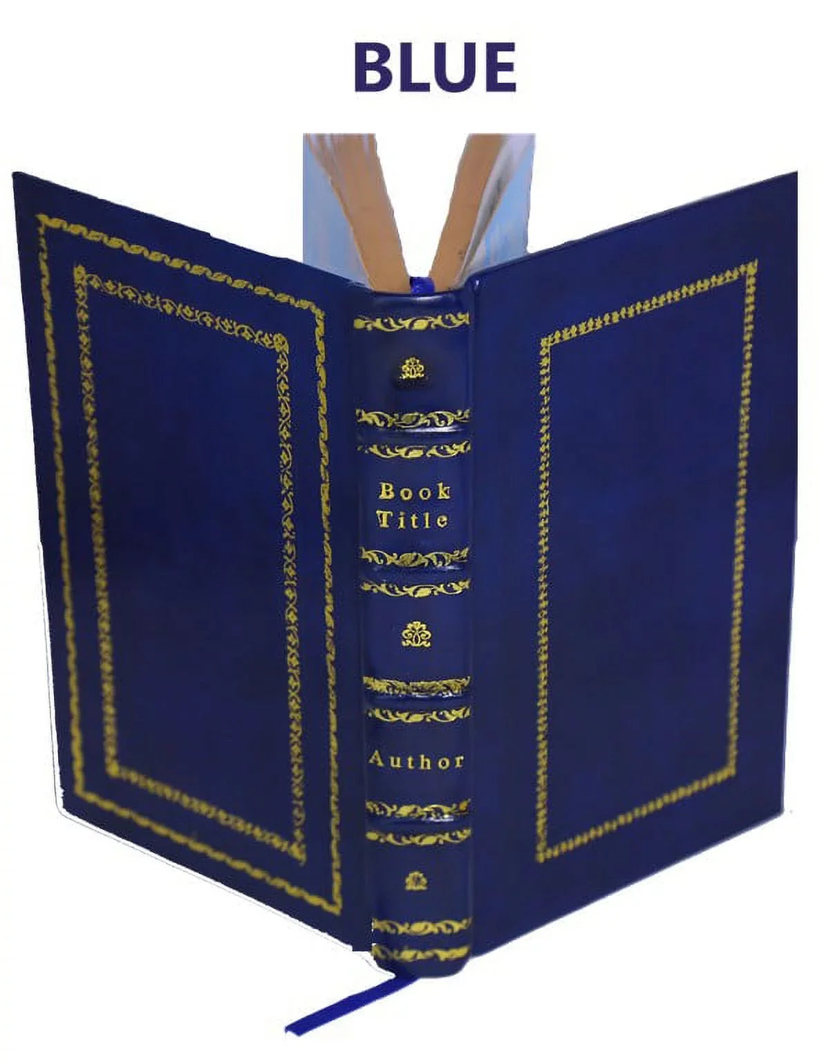Museum Veronense : hoc est antiquarium inscriptionum atque anaglyphorum collectio cui Taurinensis adiungitur et Vindobonensis 1749 [Premium Leather Bound]