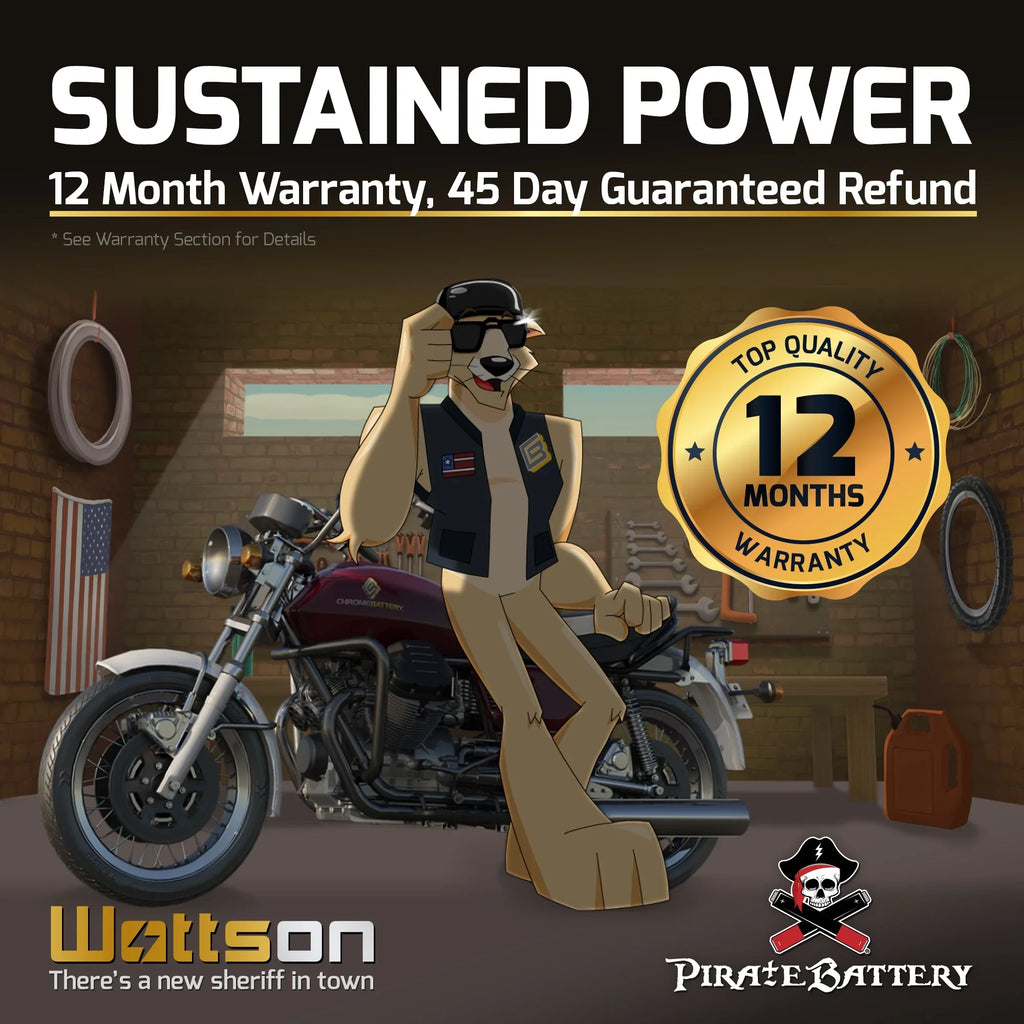 Pirate Battery Ytx16l-bs (16l-bs 12 Volts,14 Ah, 230 Cca) Jet Sizeki Battery for Yamaha Wave Runner 1993