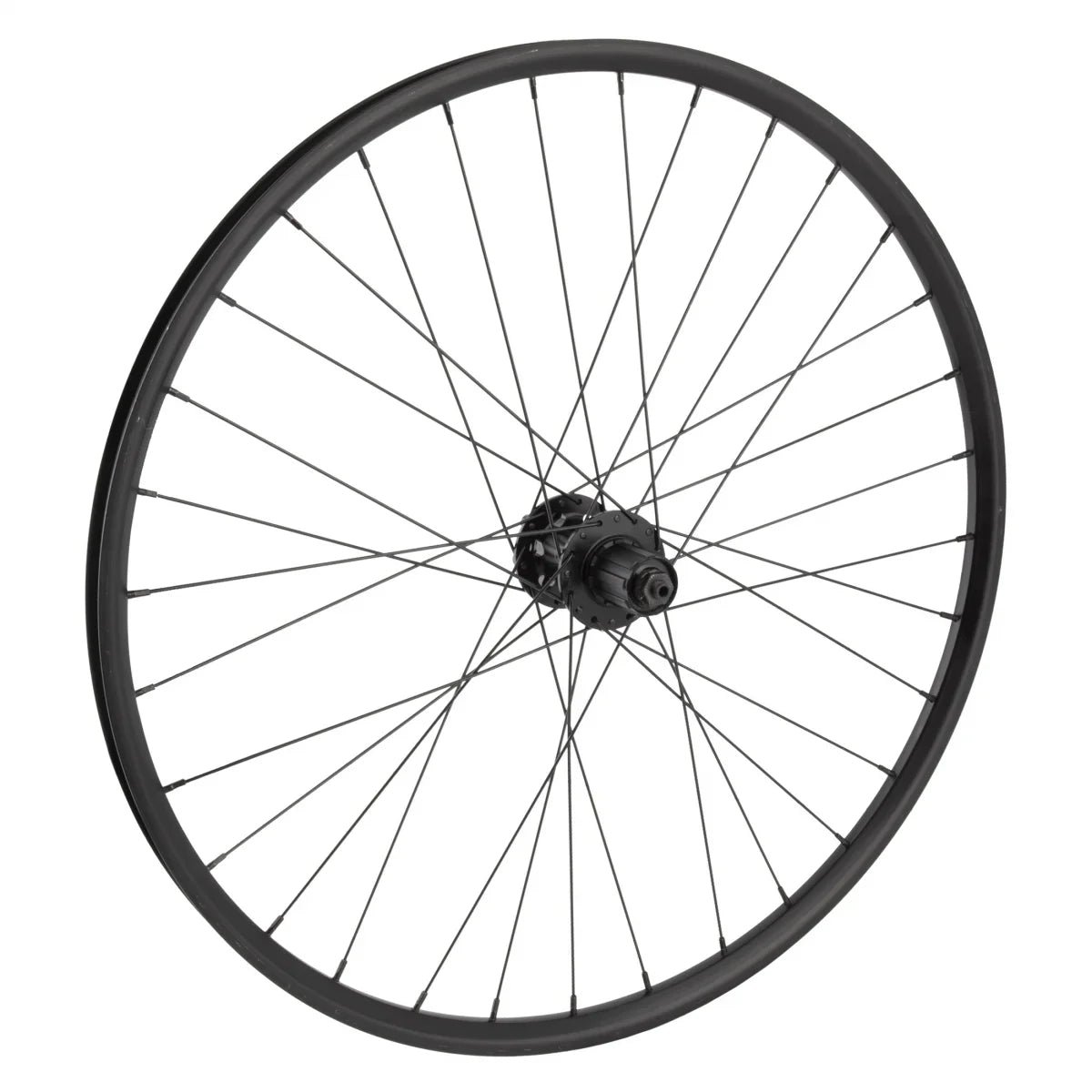 Wheel Master 26in Alloy Mountain Disc Double Wall 26in RR WTB SizeT TCSize 2.0 i21 6B