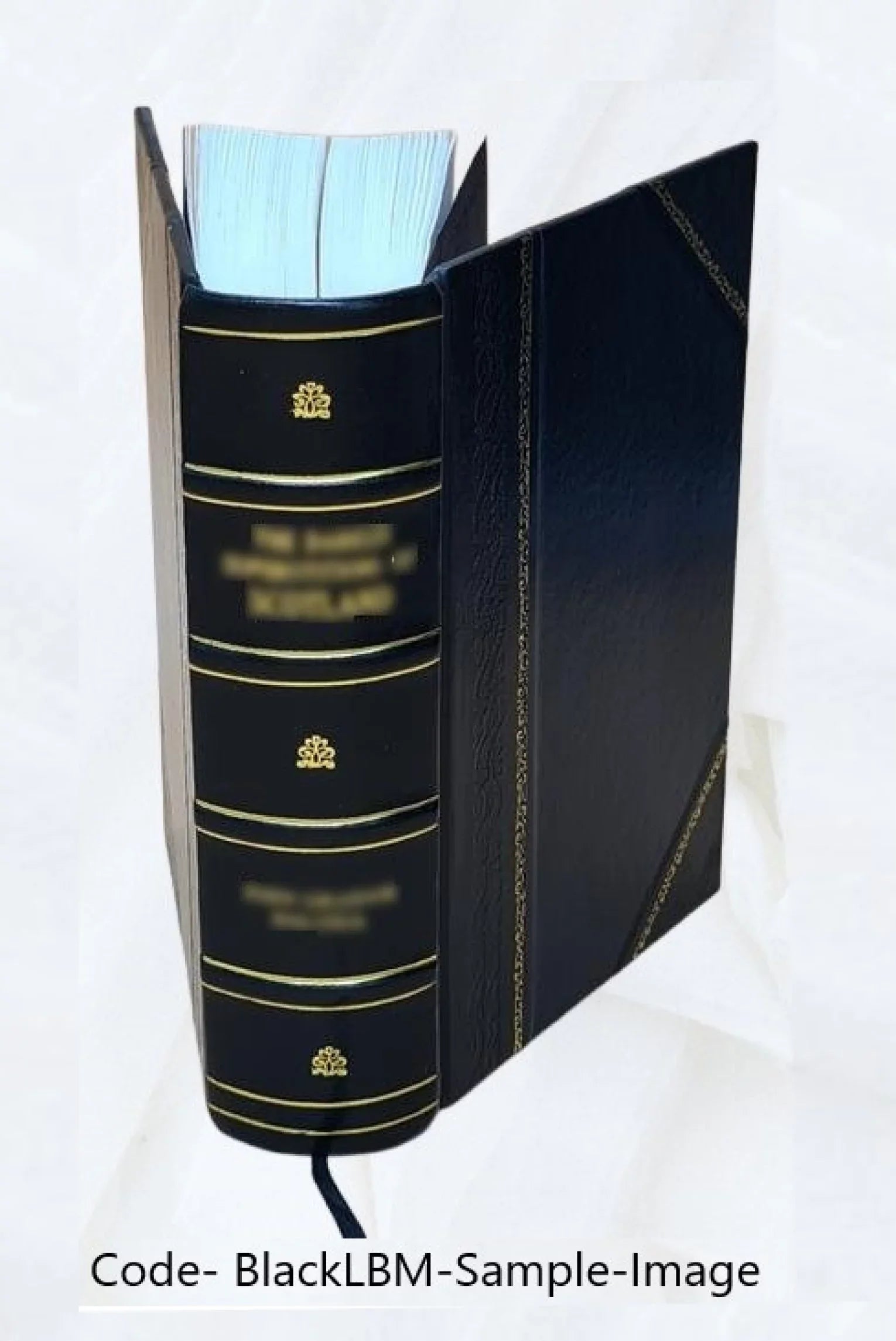Light list. Vol. 3, Pacific coast and Pacific islands / Treasury Department, United Sizetates Coast Guard. Volume 1963-64 1964 [Leather Bound]