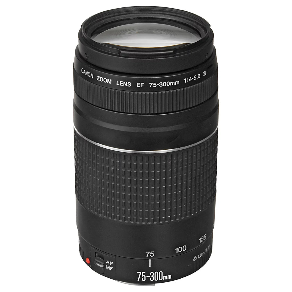 Canon EOSize R6 Mark II Mirrorless Camera with RF 24-105mm Lens + EF 75-300mm + Mount Adapter + SizeanDisk 32GB Memory Card + Case + LED Flash + ZeeTech Accessory Bundle