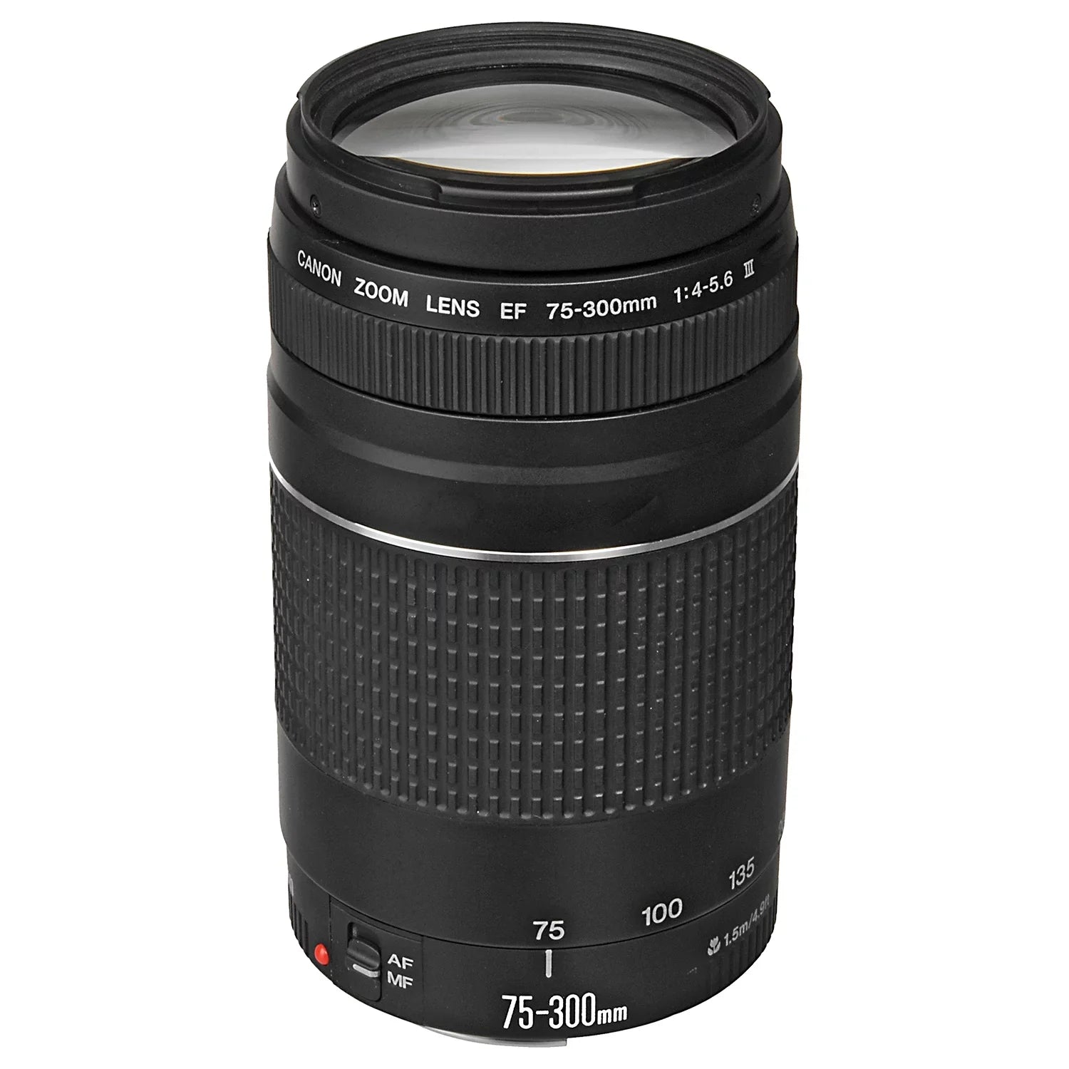 Canon EOSize R6 Mark II Mirrorless Camera with RF 24-105mm Lens + EF 75-300mm + Mount Adapter + SizeanDisk 32GB Memory Card + Case + LED Flash + ZeeTech Accessory Bundle